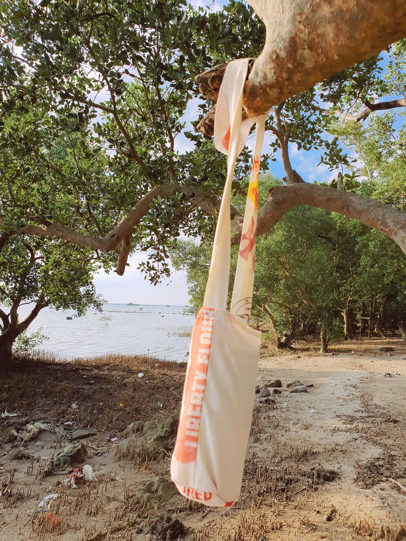 Katsa tote hanging from a mangrove by the sea